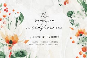 Summer Wildflowers Illustration Pack