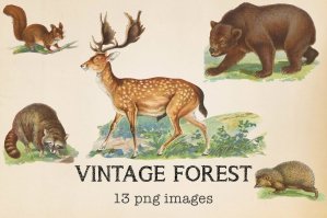 Vintage Forest Animals
