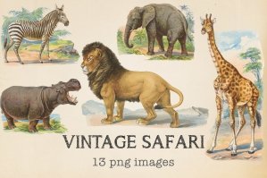 Vintage Safari Elements