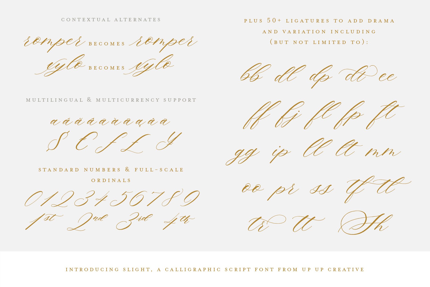 Slight - Calligraphy Script Font - Design Cuts
