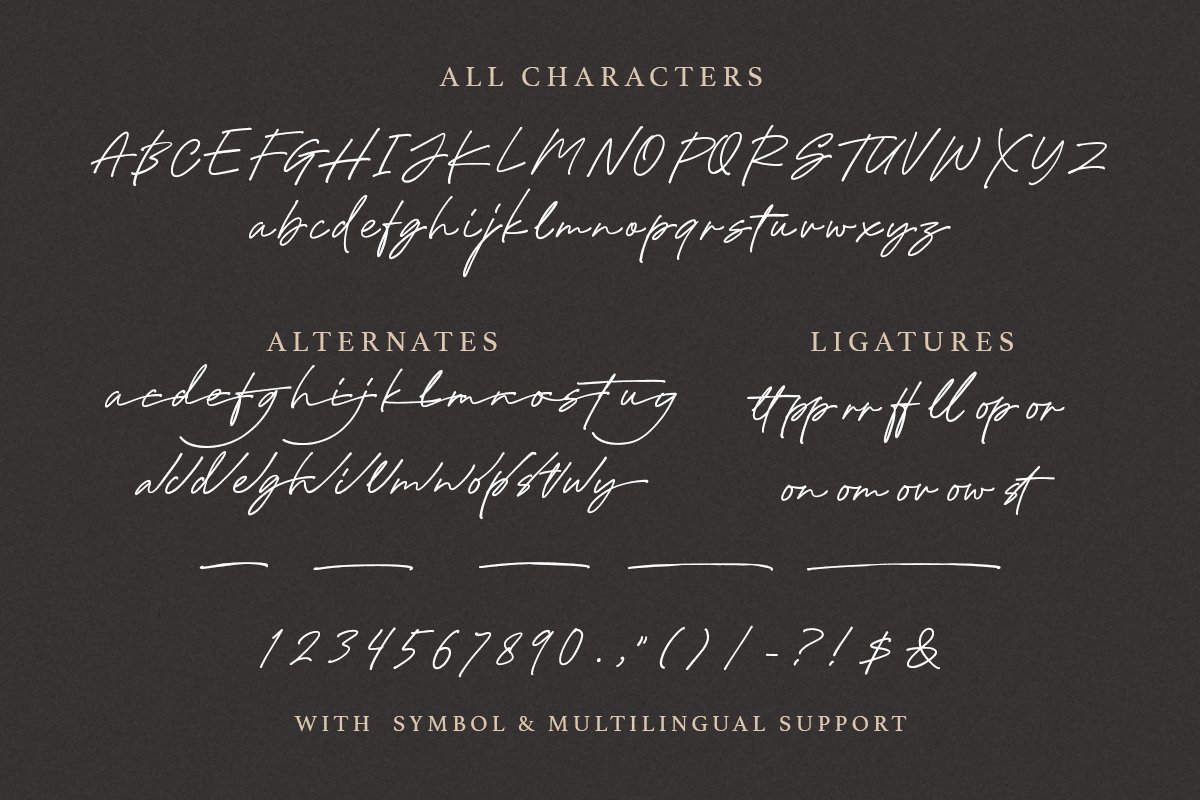 Holybuck - Signature Font Family