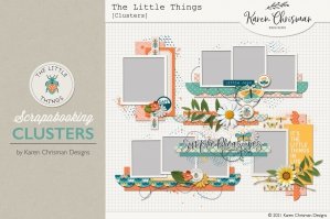 The Little Things Clusters