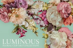 Luminous Floral Clip Art Collection