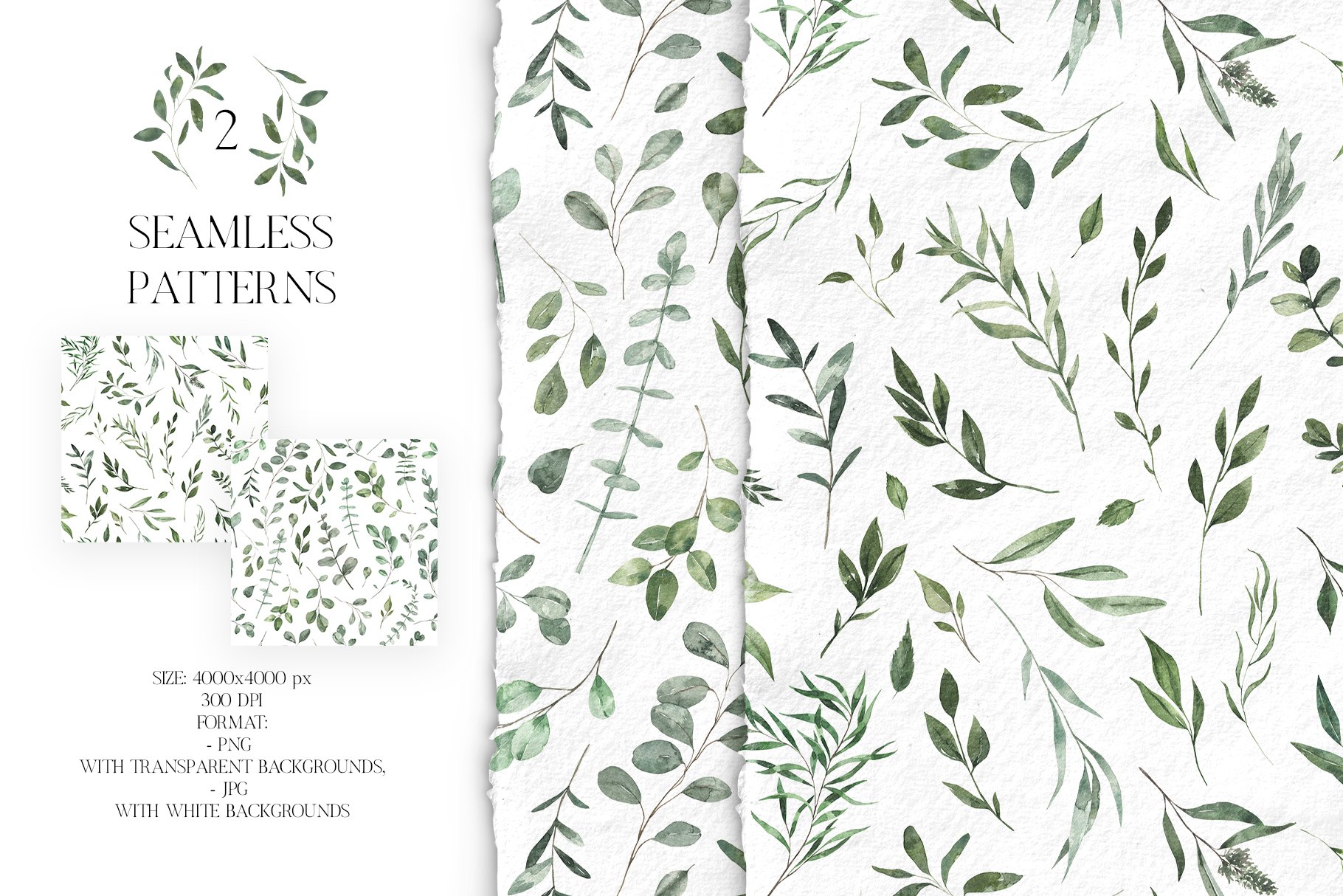 Eucalyptus Foliage Watercolor - Design Cuts