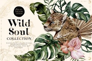 Wild Soul Collection
