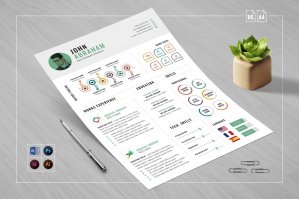 Infographic Resume Template