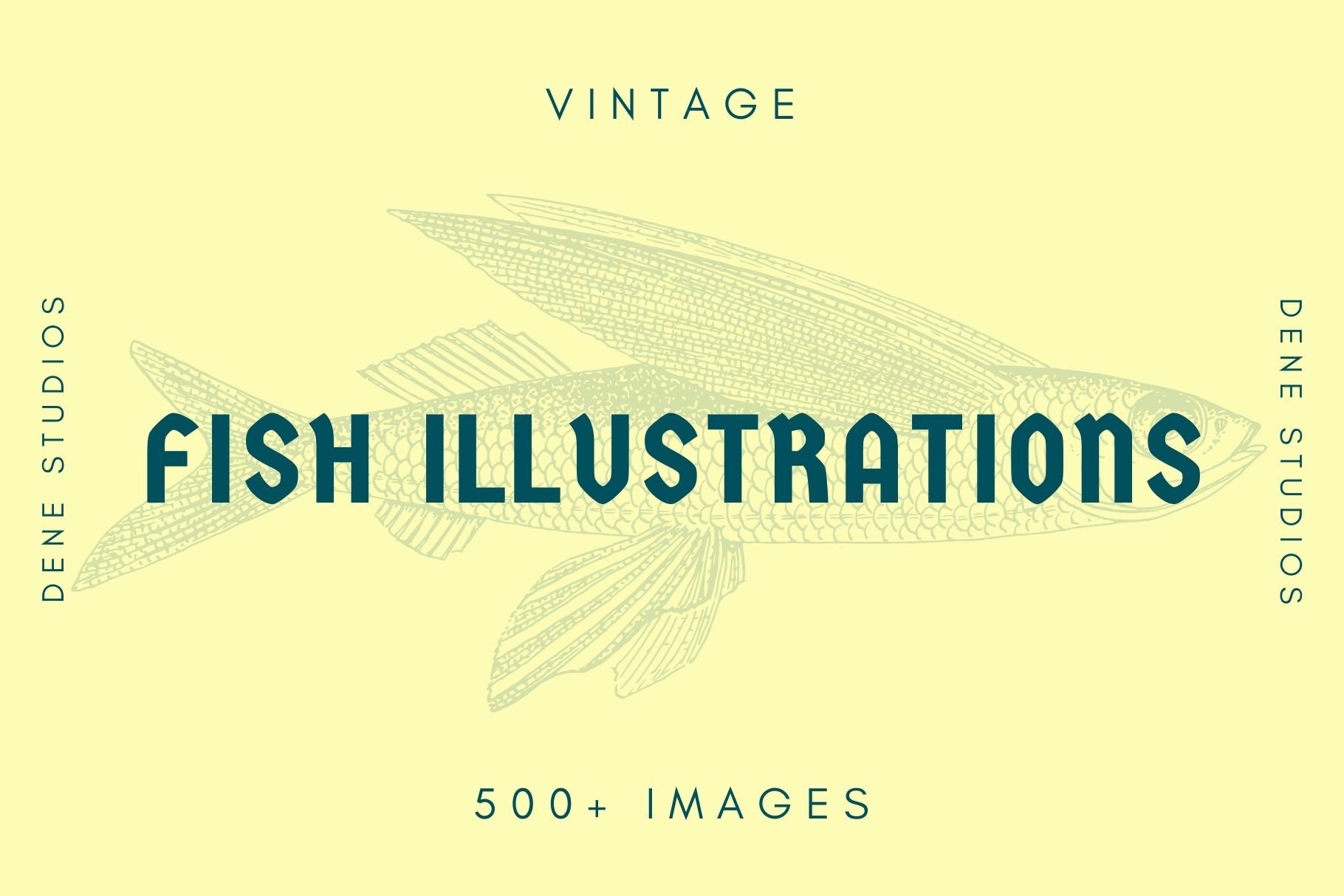 500+ Vintage Fish Illustrations