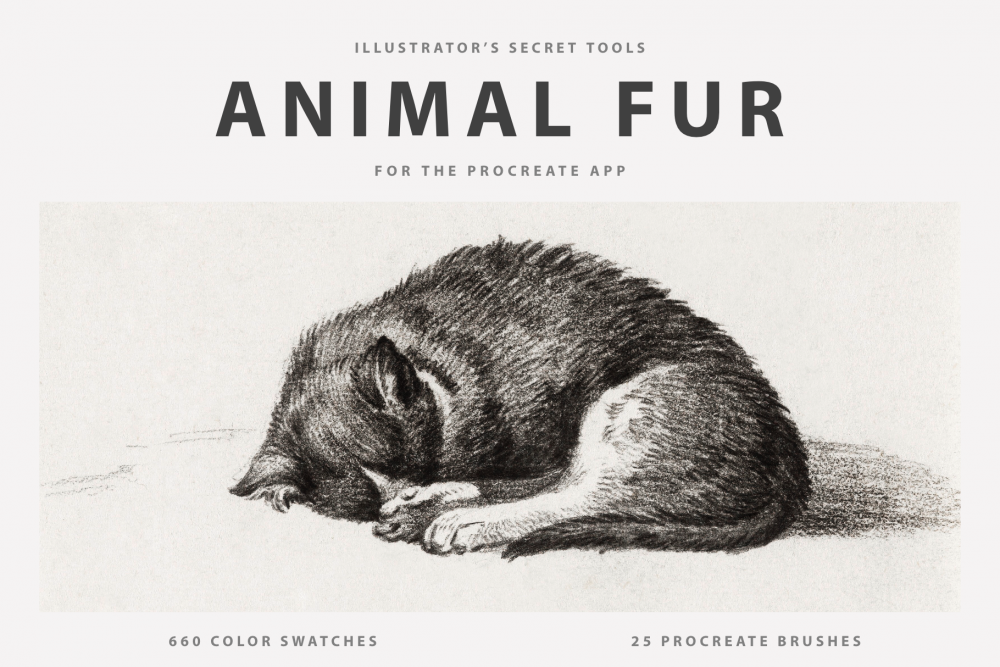 Animal Fur Procreate Brushes & Color Swatches - Design Cuts