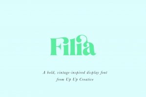 Filia - Serif Font with Ligatures