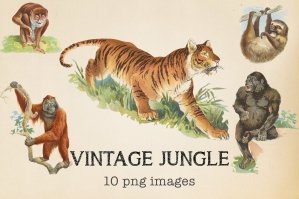 Vintage Jungle Elements