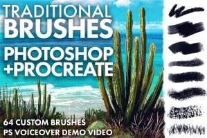 Traditional Textures Brush Set