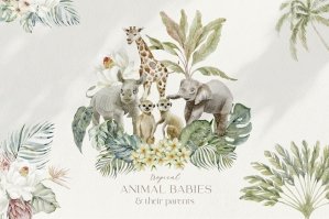 Tropical Animal Babies & Parents