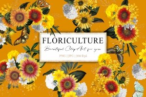 Floriculture - Sunflowers Blossom