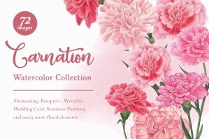 Carnation Flowers Watercolor