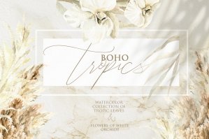 Boho Tropics Watercolor Floral Clipart