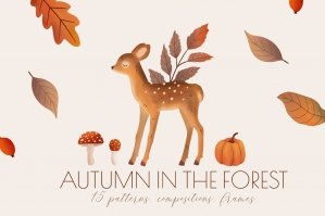 Autumn in the Forest