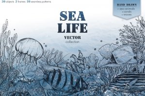 Sea Life Vector Collection