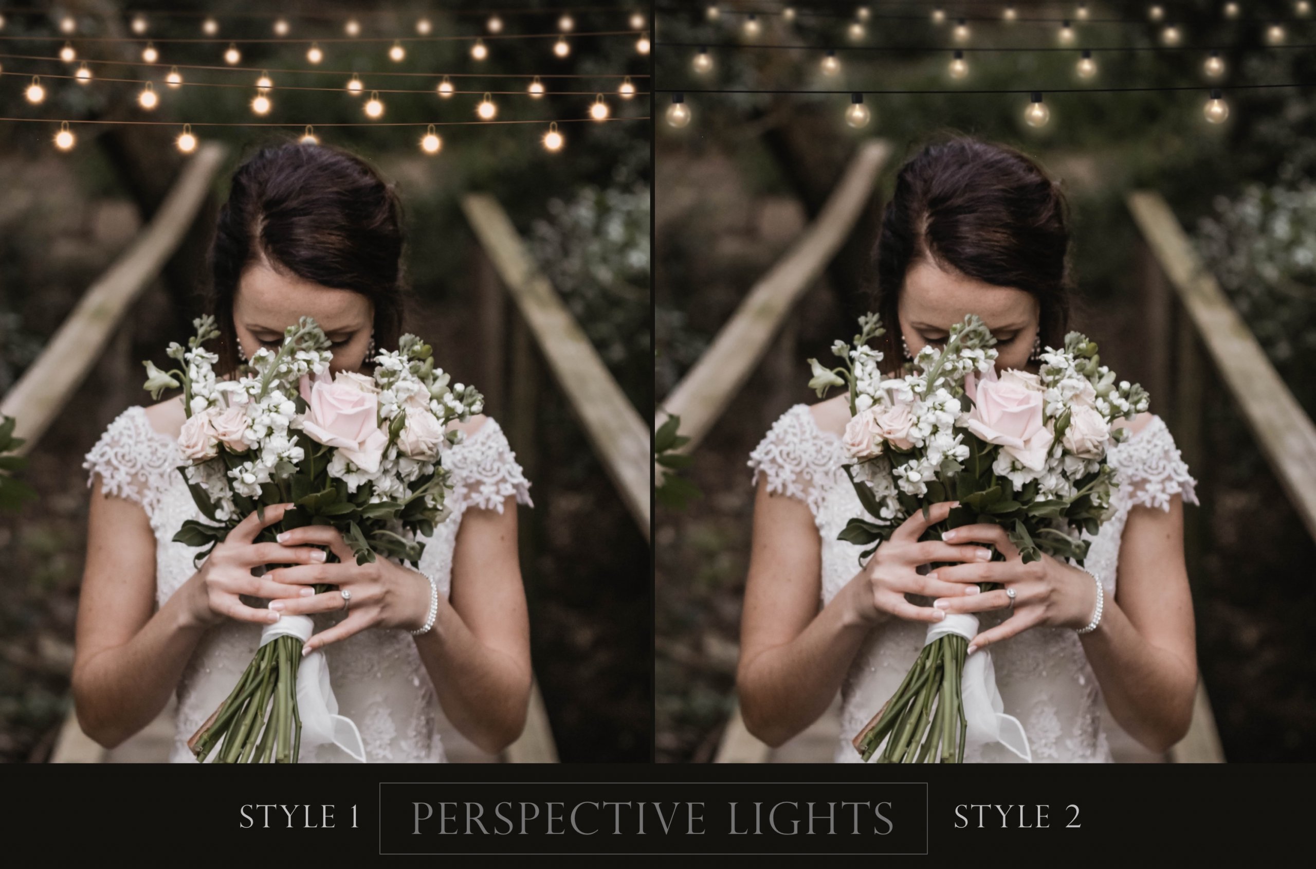 Fairy Light Photography Overlays
