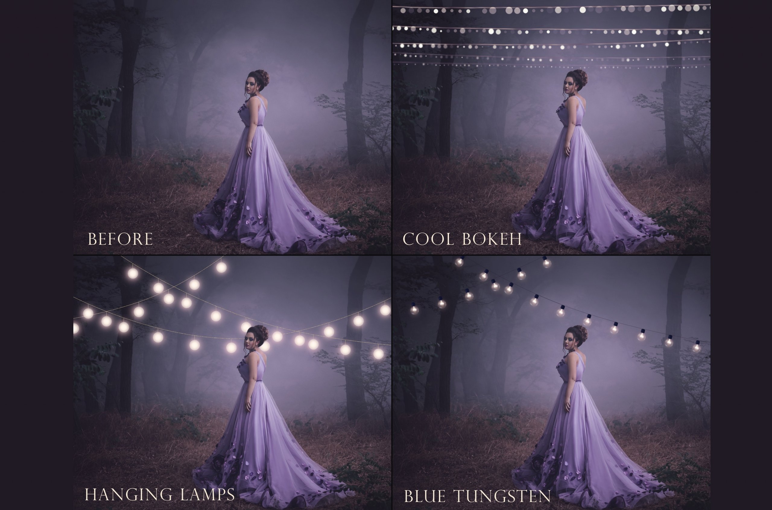Fairy Light Photography Overlays