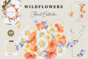 Warm Wildflowers Floral Collection