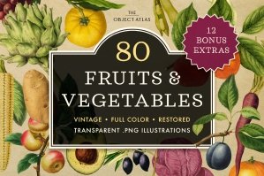 80 Vintage Fruits & Vegetables