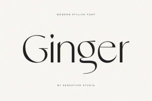 Ginger - Modern Stylish Font