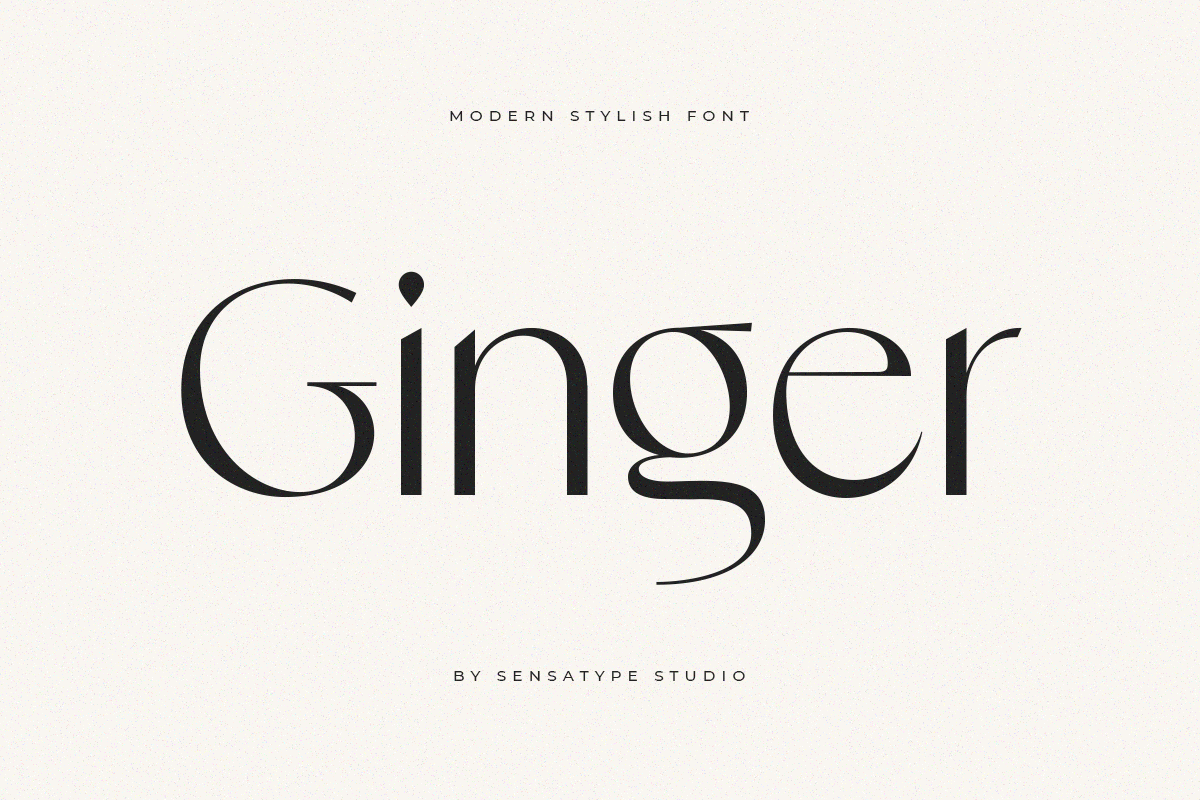 Ginger Modern Stylish Font 1