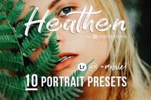 Heathen Portrait Presets for Desktop & Mobile