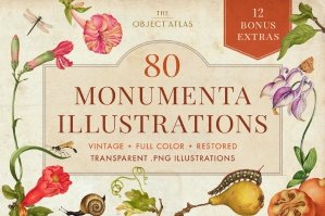 80 Monumenta Renaissance Illustrations