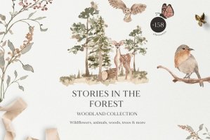 Stories in the Forest - Watercolor Woodland Animals Set