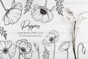 Hand Drawn Poppy Flowers SVG