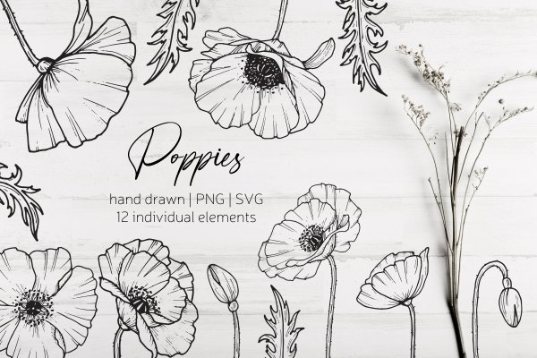 Hand Drawn Poppy Flowers SVG - Design Cuts