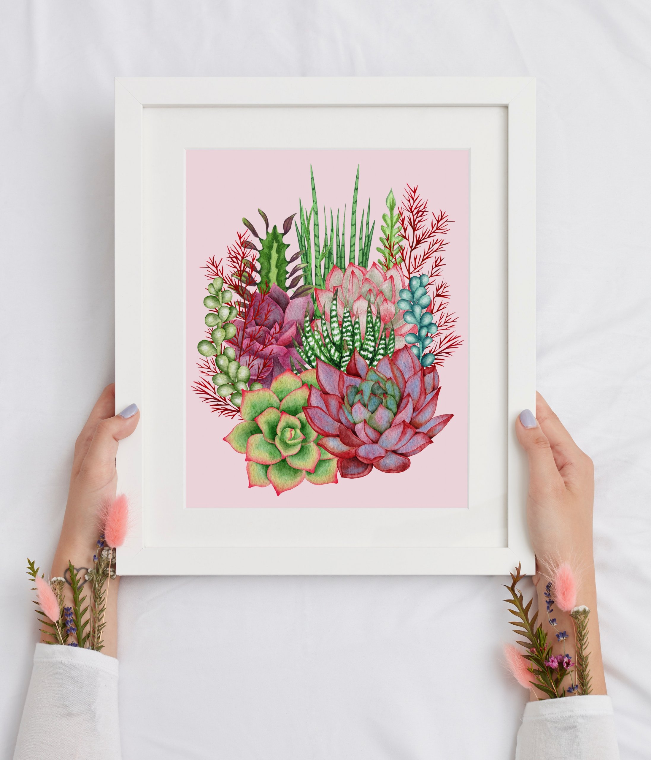 Succulents Watercolor Clipart - Design Cuts