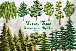 Forest Trees Watercolor Set