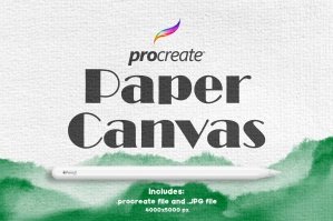 Procreate Paper Canvas 1 + PNG file