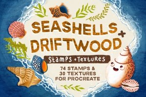 Seashells + Driftwood Procreate Set
