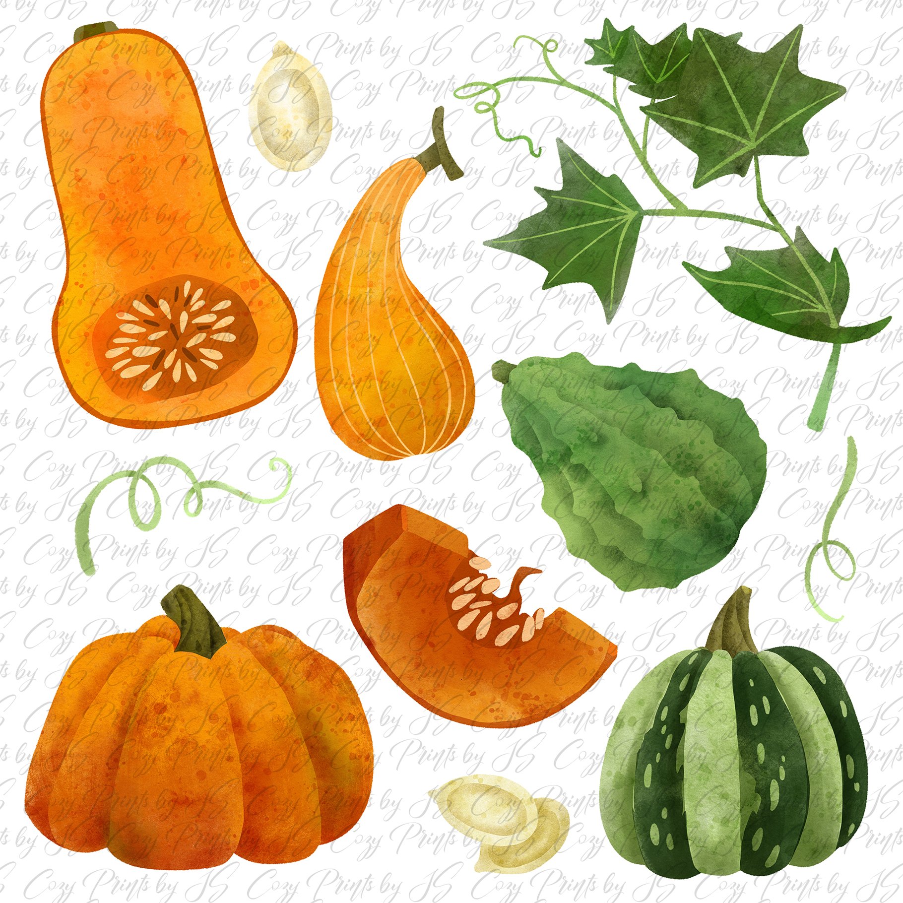 Vegetables, Herbs Watercolor Clipart