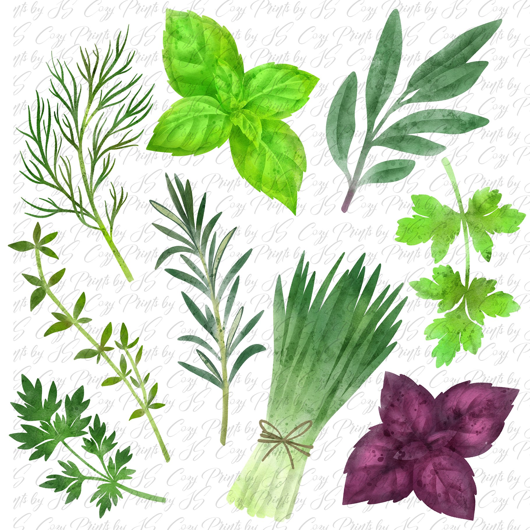 Vegetables, Herbs Watercolor Clipart