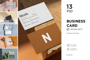 Business Card Mock-Up Shadows Collection
