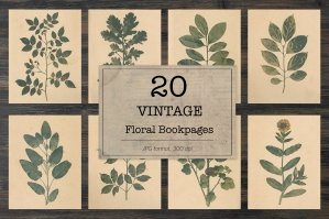 Vintage Herbarium Floral Images