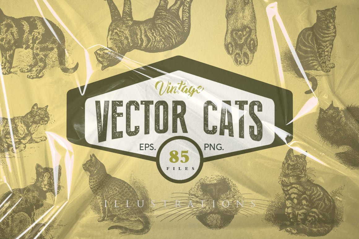 Cats Vector Set