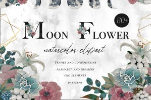 Moon Flower Watercolor Clipart