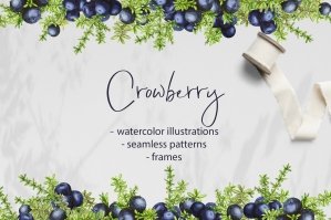 Watercolor Berries Frames & Patterns