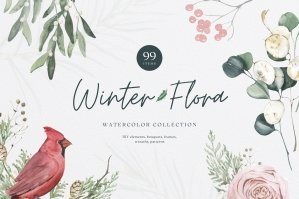 Winter Flora Watercolor Collection