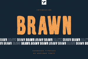 Brawn Handwritten Typeface - 40 Fonts