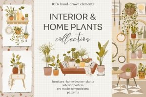 Interior & Home Plants Collection