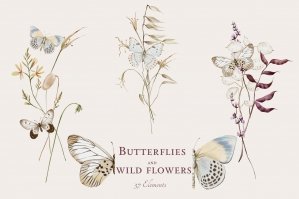 Butterflies and Wild Flowers