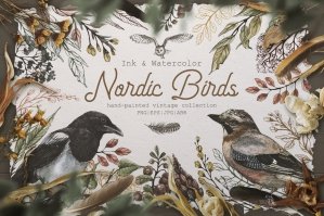 Nordic Birds Ink & Watercolor Set