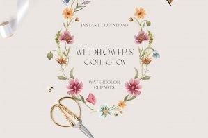 Wildflower Watercolor Collection