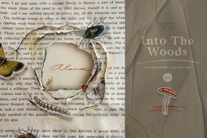 Into The Woods - Collection